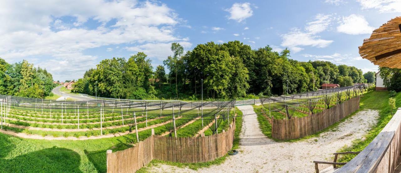 Apartma Zemljanka Ljutomer Exterior foto